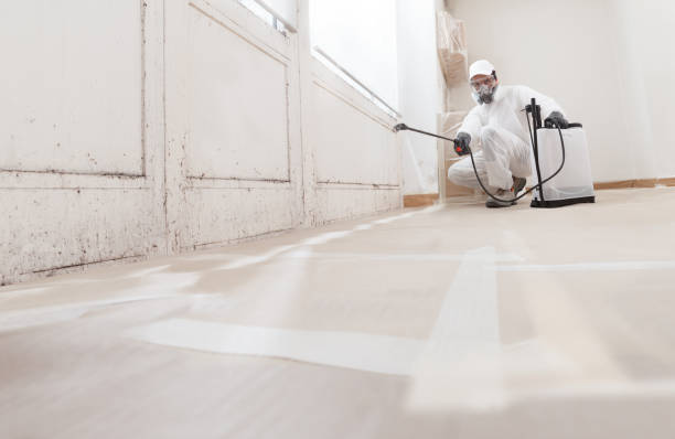 24/7 Emergency Attic Mold Removal experts in Auburn, NY